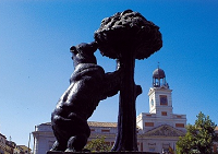 osoymadroño mini