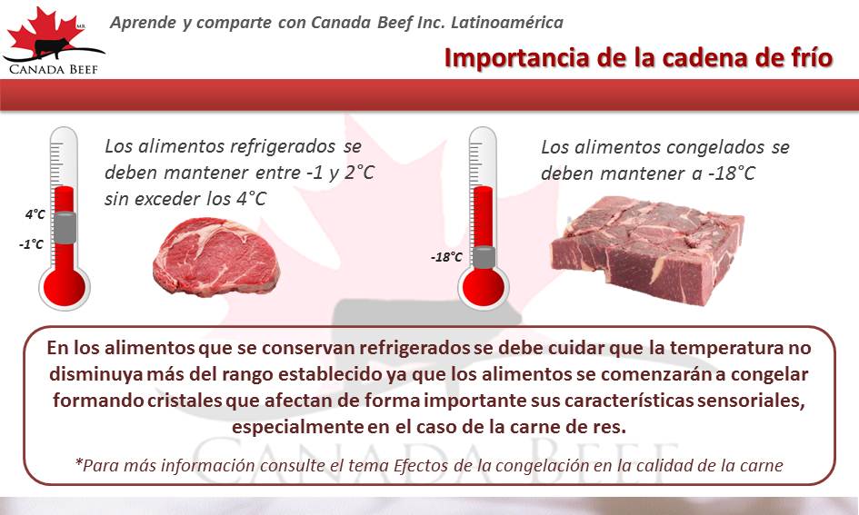 cadena de frio 2